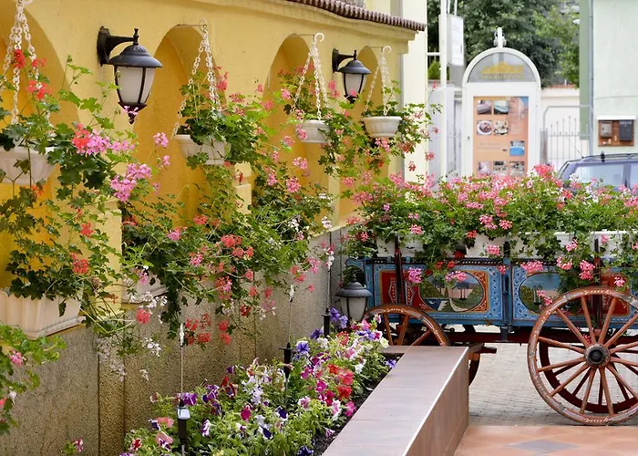 Hotel Bistra & Galina 4*